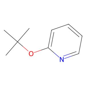 2-(叔丁氧基)吡啶,2-(tert-Butoxy)pyridine