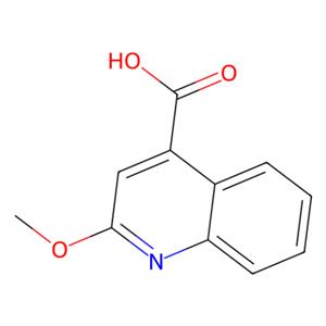 aladdin 阿拉丁 M586166 2-甲氧基喹啉-4-羧酸 10222-62-5 98%