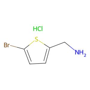 aladdin 阿拉丁 B171578 (5-溴噻吩-2-基)甲胺盐酸盐 1001414-56-7 97%