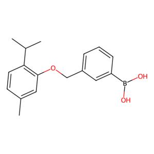 aladdin 阿拉丁 I165754 3-[(2-异丙基-5-甲基苯氧基)甲基]苯硼酸(含不定量的酸酐) 1072951-74-6 95%
