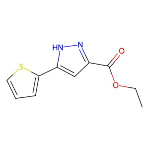 aladdin 阿拉丁 E138103 3-(噻吩-2-基)-1H-吡唑-5-甲酸乙酯 121195-03-7 ≥95%