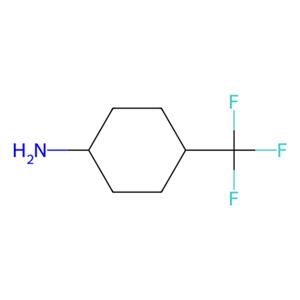 aladdin 阿拉丁 T176868 4-(三氟甲基)环己胺 (顺反混合物) 58665-70-6 97%