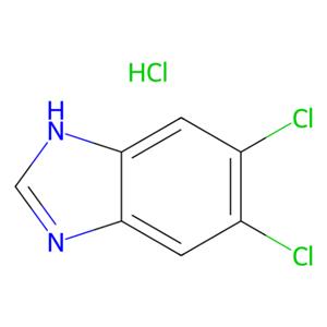 aladdin 阿拉丁 D155561 5,6-二氯苯并咪唑盐酸盐 1087737-96-9 98%