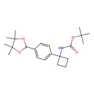 aladdin 阿拉丁 T586202 1-(4-(4,4,5,5-四甲基-1,3,2-二氧硼戊环-2-基)苯基)环丁基氨基甲酸叔丁酯 1032528-06-5 98%