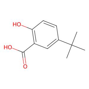 2-羟基-5-叔丁基苯甲酸,5-tert-Butyl-2-hydroxybenzoic Acid