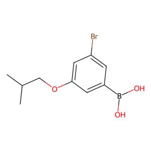 aladdin 阿拉丁 B188273 3-溴-5-异丁氧基苯基硼酸（含有数量不等的酸酐） 918904-39-9 97%
