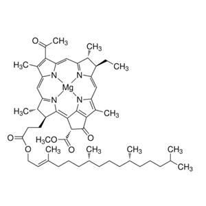 aladdin 阿拉丁 B353811 菌叶绿素 来源于球形红假单胞菌 17499-98-8 95%