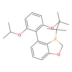 aladdin 阿拉丁 R282182 （R）-3-（叔丁基）-4-（2,6-二异丙氧基苯基）-2,3-二氢苯并[d] [1,3]氧杂磷杂环戊烯 1338454-38-8 97%,>99% ee