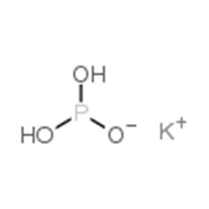 aladdin 阿拉丁 M190830 亚磷酸二氢钾 13977-65-6 98%