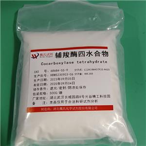 辅羧酶四水合物,Chlorobutanol hemihydrate