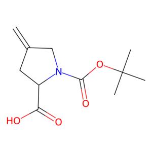 aladdin 阿拉丁 N139311 N-BOC-4-亚甲基-L-脯氨酸 84348-38-9 95%