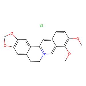 盐酸小檗碱,Berberine chloride form