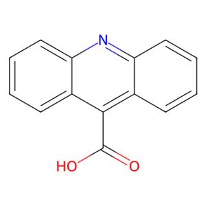 aladdin 阿拉丁 A303914 9-吖啶羧酸 5336-90-3 97%