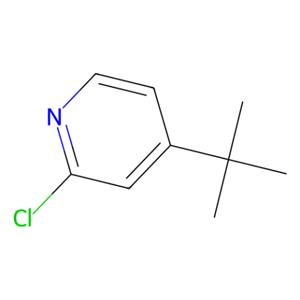 aladdin 阿拉丁 T162860 4-叔丁基-2-氯吡啶 81167-60-4 97%