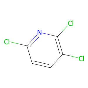 aladdin 阿拉丁 T194406 2,3,6-三氯吡啶 6515-09-9 96%