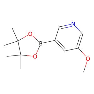 aladdin 阿拉丁 M170398 5-甲氧基-3-吡啶硼酸频哪醇酯 445264-60-8 97%