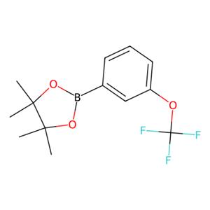 4,4,5,5-四甲基-2-[3-(三氟甲氧基)苯基]-1,3,2-二氧杂环戊硼烷,4,4,5,5-Tetramethyl-2-[3-(trifluoromethoxy)phenyl]-1,3,2-dioxaborolane
