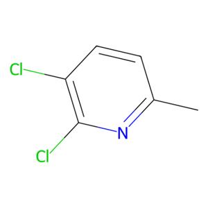 aladdin 阿拉丁 D185160 2,3-二氯-6-甲基吡啶 54957-86-7 98%