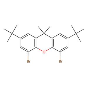 4,5-二溴-2,7-二-叔丁基-9,9-二甲基氧杂蒽,4,5-Dibromo-2,7-di-tert-butyl-9,9-dimethylxanthene