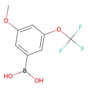 3-甲氧基-5-(三氟甲氧基)苯基硼酸,3-Methoxy-5-(trifluoromethoxy)phenylboronic acid