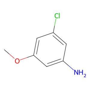 aladdin 阿拉丁 C586185 3-氯-5-甲氧基苯胺 10272-06-7 98%