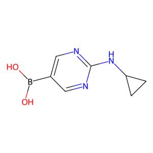 aladdin 阿拉丁 C586968 (2-(环丙基氨基)嘧啶-5-基)硼酸(含不同量的酸酐) 1312942-14-5 98%