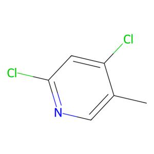 aladdin 阿拉丁 D134689 2,4-二氯-5-甲基吡啶 56961-78-5 96%