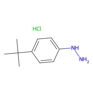 aladdin 阿拉丁 T102557 4-叔丁基苯肼盐酸盐 36600-66-5 94%