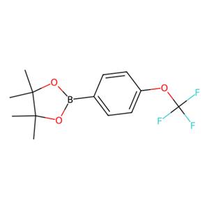 aladdin 阿拉丁 T589210 4,4,5,5-四甲基-2-(4-(三氟甲氧基)苯基)-1,3,2-二氧杂硼杂环戊烷 474709-28-9 98%
