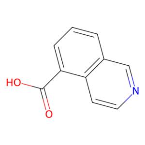 aladdin 阿拉丁 I124463 异喹啉-5-甲酸 27810-64-6 96%