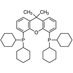 aladdin 阿拉丁 B195963 4,5-双(二环己基膦)-二苯并吡喃衍生物 940934-47-4 98%