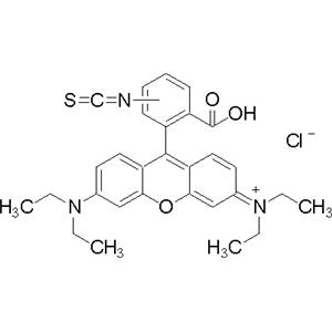 aladdin 阿拉丁 R105502 异硫氰酸罗丹明B 36877-69-7 mixture of isomers