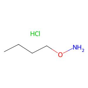 aladdin 阿拉丁 O184596 O-丁基羟胺盐酸盐 4490-82-8 98%