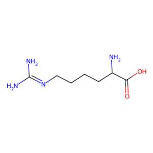 aladdin 阿拉丁 H117055 高精氨酸 156-86-5 95%