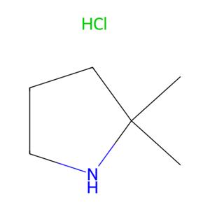 aladdin 阿拉丁 D176967 2,2-二甲基吡咯烷盐酸盐 623580-01-8 97%