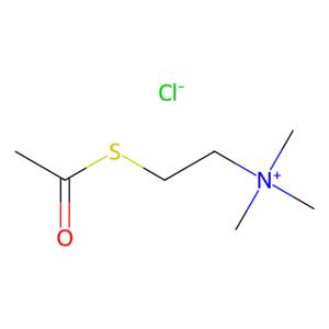 aladdin 阿拉丁 A113536 氯化乙酰硫代胆碱 6050-81-3 99%