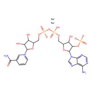aladdin 阿拉丁 N113163 氧化型辅酶II 二钠(β-NADP-Na?) 24292-60-2 97%