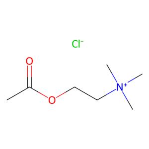 氯化乙酰胆碱,Acetylcholine chloride