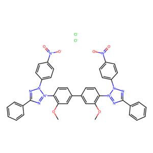 aladdin 阿拉丁 N104908 氯化硝基四氮唑蓝(NBT) 298-83-9 98%