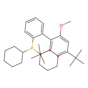 aladdin 阿拉丁 D281974 2-二环己基膦基-2''-甲氧基-4''，6''-二叔丁基-1,1''-联苯 1848244-75-6 98%