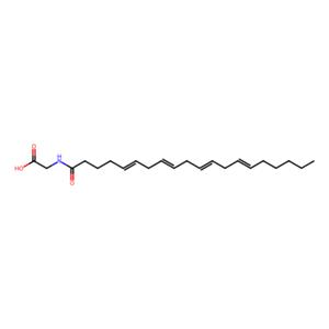 aladdin 阿拉丁 A275341 N-花生四烯酸甘氨酸（NAGly） 179113-91-8 ≥98%