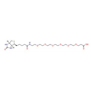 aladdin 阿拉丁 D337004 21-[D(+)-生物素基氨基]-4,7,10,13,16,19-六氧杂二十一烷酸 1352814-10-8 95%
