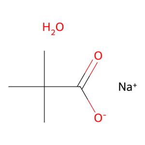 aladdin 阿拉丁 S160973 特戊酸钠水合物 143174-36-1 >98.0%(T)