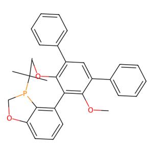 aladdin 阿拉丁 S282188 (S)-3-(叔丁基)-4-(4',6'-二甲氧基-[1,1':3',1''-三苯基]-5'-基)-2,3-二氢苯并[d][1,3]氧磷杂环戊二烯 2021201-99-8 97%,>99% ee