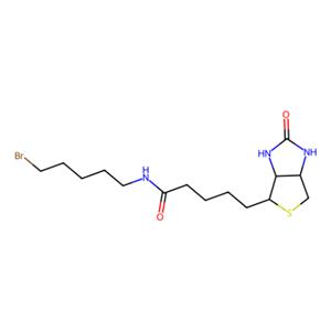 aladdin 阿拉丁 B340906 生物素5-溴戊酰胺 1217605-72-5 98%