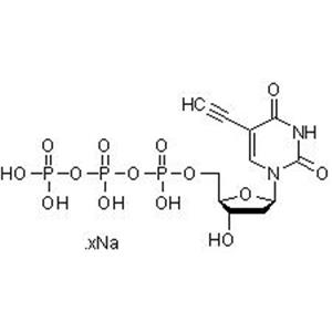 5-乙炔基-dUTP（5-EdUTP）（水溶液）,5-Ethynyl-dUTP (5-EdUTP) (aqueous solution)