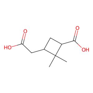 蒎酸,Pinic Acid