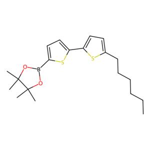 aladdin 阿拉丁 H171077 5′-己基-2,2′-联噻吩-5-硼酸频哪醇酯 579503-59-6 97%