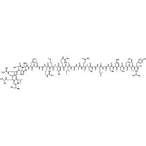 人α-ANF,Atrial Natriuretic Peptide human