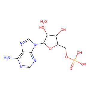 aladdin 阿拉丁 A111884 腺苷-5'-单磷酸 一水合物 18422-05-4 from yeast,≥97%
